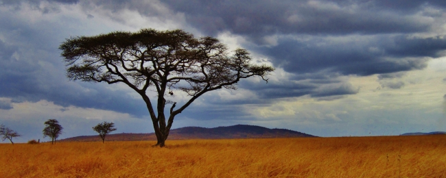 Salida Grupal: Sudfrica, Cataratas Victoria y Chobe