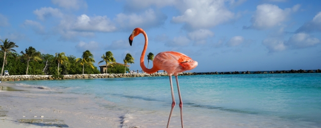 Aruba