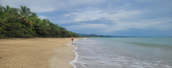 Miches - 14 de febrero