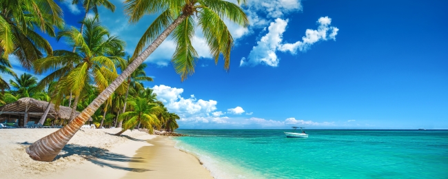 Punta Cana con Cyber Monday