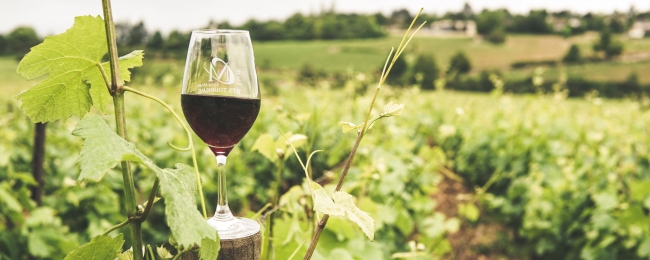 Mendoza y San Rafael