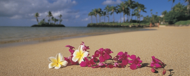 Hawaii con Oahu y Maui