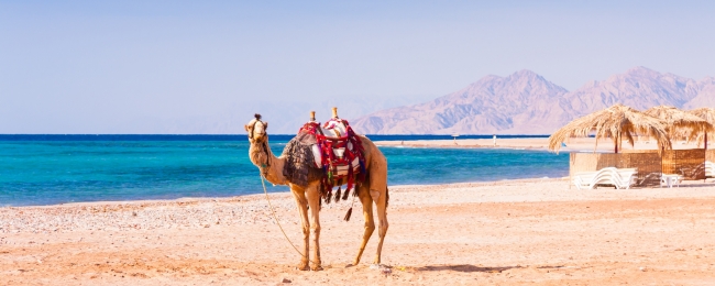 Ecos del Desierto: Egipto, Jordania y Dubai