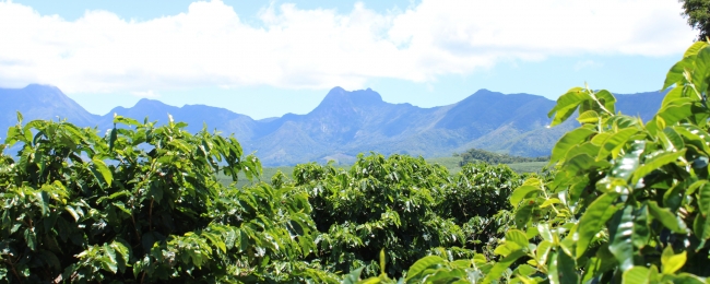 Senti Colombia
