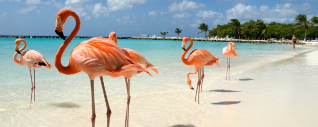 Tres islas m�gicas: Aruba, Bonaire y Curacao