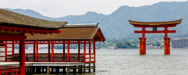 Cerezos del Oriente: Japon, Corea & Dubai