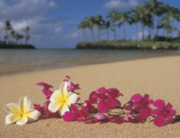 Hawaii con Oahu y Maui