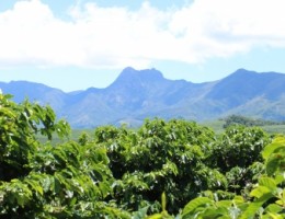 Senti Colombia